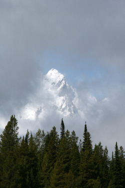 prostiute:  Grand Teton by a.dombrowski 