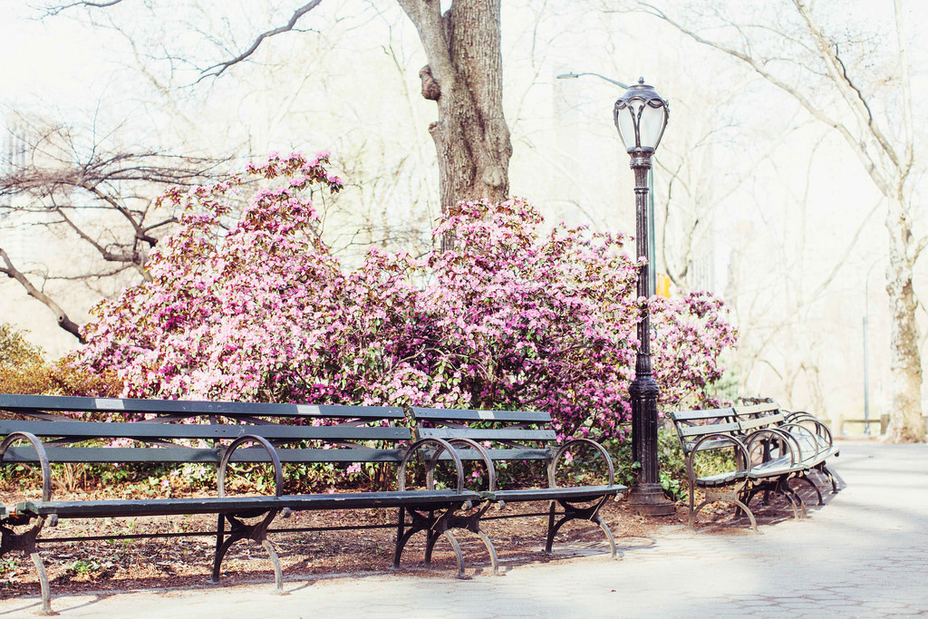 jacindaelena:  NYC || Rebecca Dale