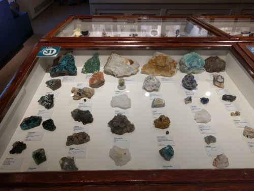 boononame:Seeing all the cool geology at the Harvard Museum of Natural History was super inspiring a