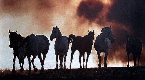 netals:“Nobody’s perfect. There was never a perfect person around. You just got half-devil and half-angel in you.”  Days of Heaven (1978)  dir. Terrence Malick