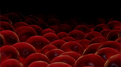 nicksmiller:  gtkm: [1/10] animated filmsfish are friends, not food! 