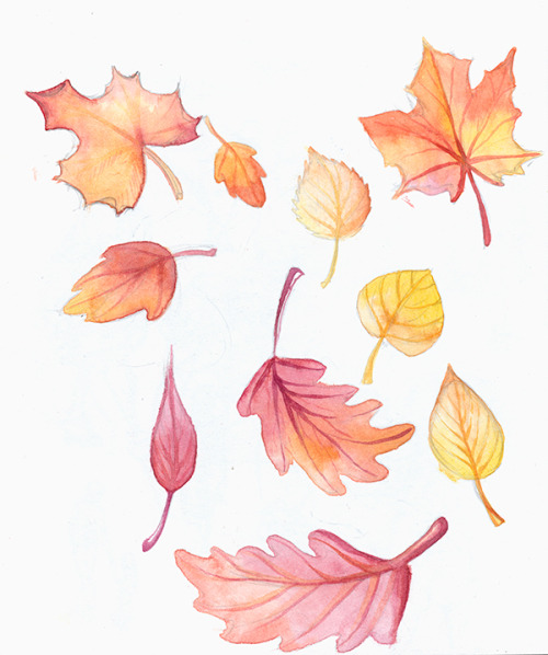 I will never grow tired of painting leaves. Watercolor in my sketchbook.