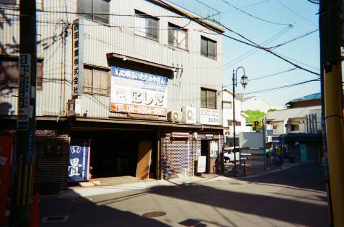 写ルンです／避日