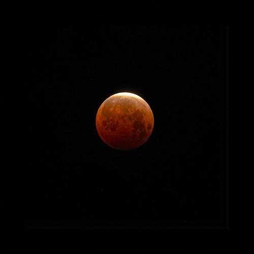 bigbudmcleod: While you were sleeping a blood super moon eclipse appeared.