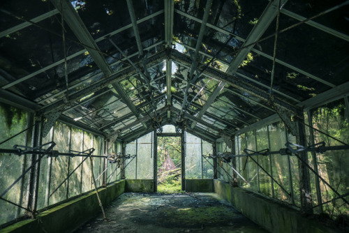 thefrogsapothecary: gitsandshiggles: elugraphy: Abandoned  playground in forest 02. @andreakont