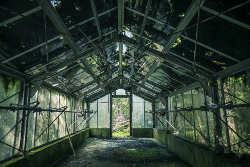 Porn elugraphy:Abandoned   playground in forest photos