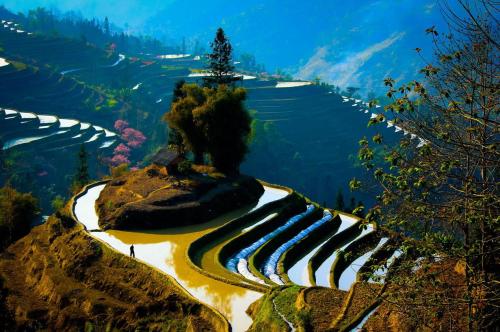 kelledia:  Yuanyang rice terraces, China.  