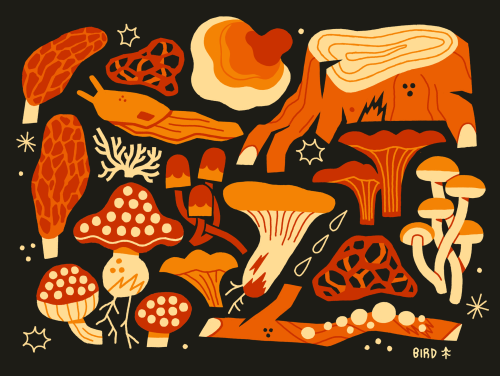 Tumblr Tuesday: Autumnal Art