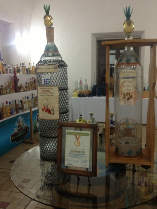 asaldh:   Feria del Tequila 2013, Tlaquepaque, Jalisco. 