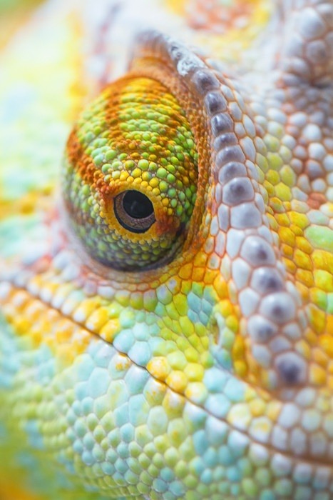 eqiunox:  Colorful smile by Jörg Raddatz on Fivehundredpx 