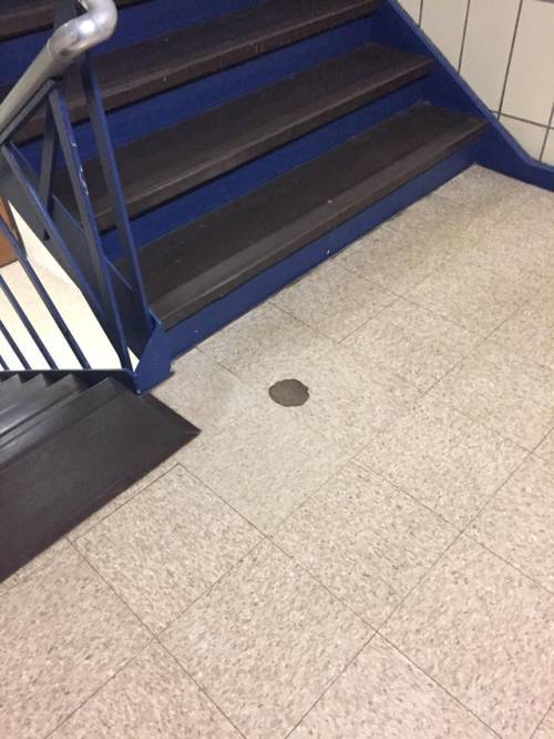 Mildly Interesting Dump #6