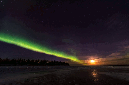 jeanpolfus:Under auroral skies. Tulit’a, Northwest Territories, Canada.