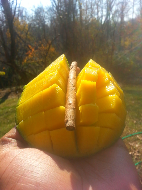 stoner-vogue:  Out and about with my blunt and mango on a warm fall day