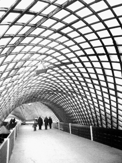 architectureuberalles:  Mannheim Multihalle (1973) Mannheim, Germany. Frei Otto.