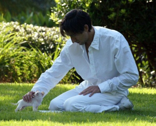 hellotailor:  relativegarnet:  Adrien Brody attempts to photograph his pet Chihuahua  morgan-leigh