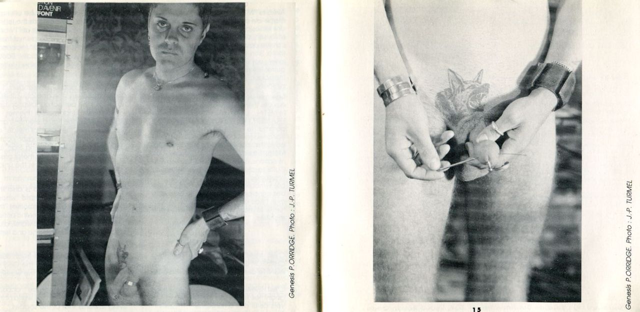 mt-life:  Genesis P. Orridge