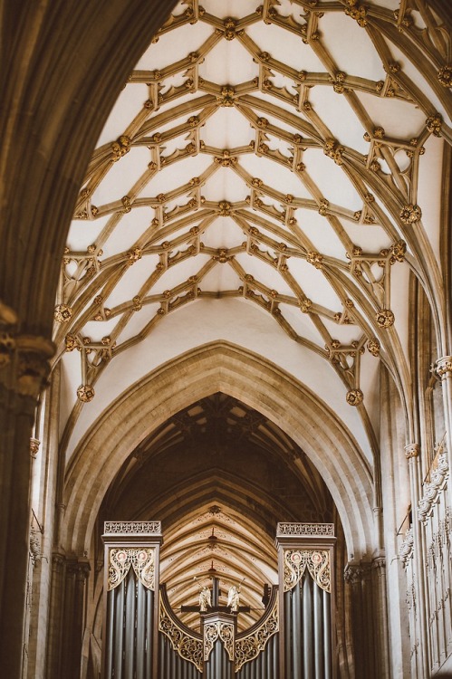 venusverticordias:Wells Cathedral, Wells, United Kingdom by Annie Spratt