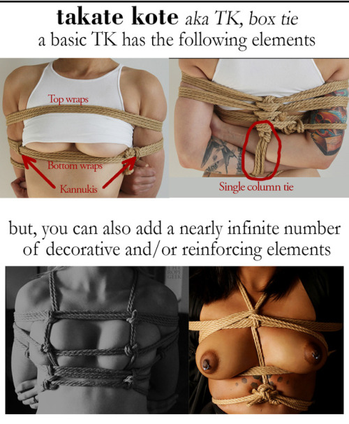 thebeautyofrope:  The Incomplete Rope Dictionary. adult photos