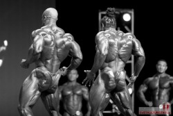 body building, physique & motivation