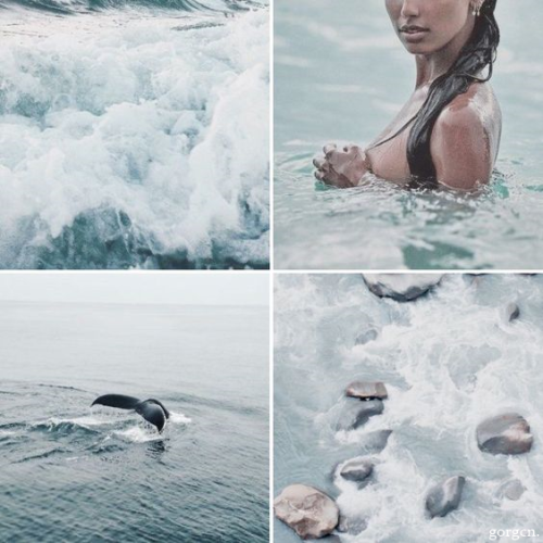 ⋆* –♕; MERMAIDS ▸ maidens of the sea ❜❝ &hellip;a strange marvel. It is woman for half its length; b