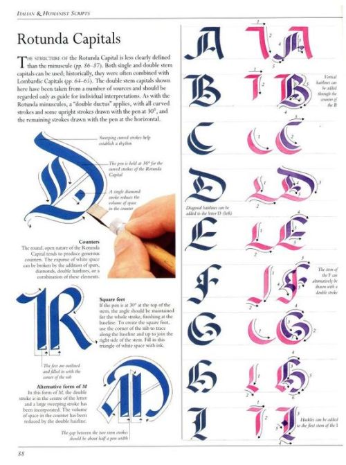 The Art Of Calligraphy