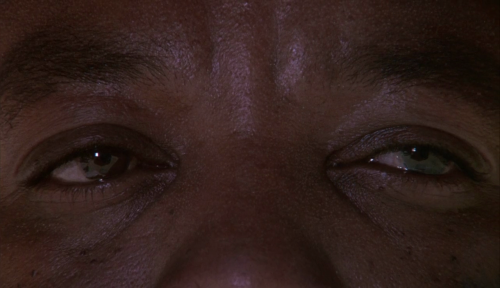 365filmsbyauroranocte