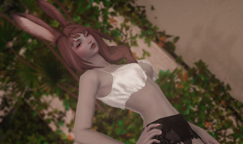laelaxiv