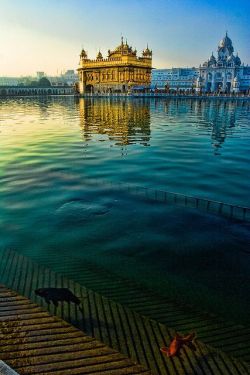 indiaincredible: Golden TempleWOW!!!