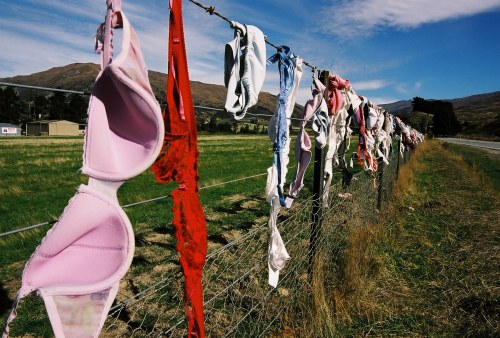 sixpenceee:  Although it looks like a women’s liberation monument from the 1960s, the Cardrona Bra Fence in New Zealand was created, or at least set in motion, in 1999. Somewhere between Christmas and New Year’s Eve, four bras appeared mysteriously