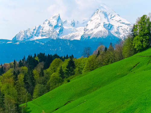 djferreira224:Swiss Alps