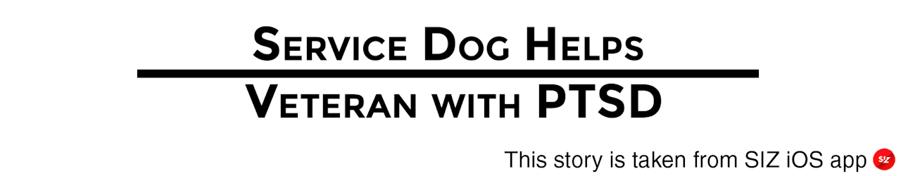soldierporn:  Witness the benefits of PTSD Service Dogs in real time. sizvideos: