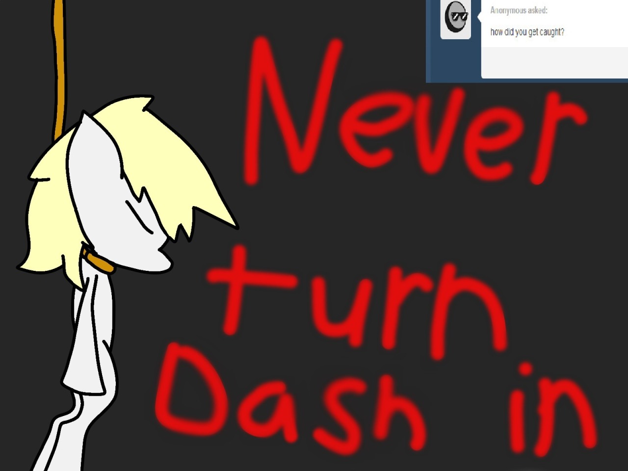 Ask Killer Dashie: Photo