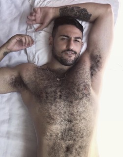 furryandhairy: