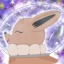 eevee-nova