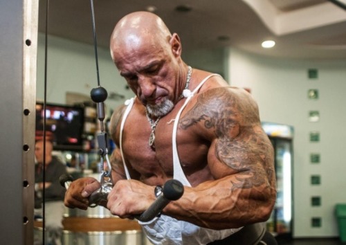 muscle by jake