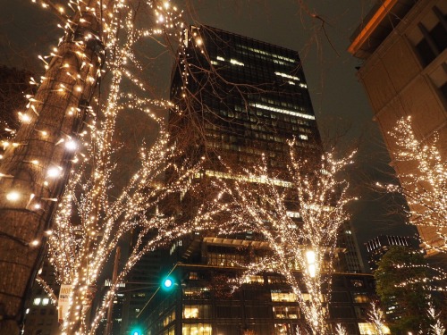 24.12.16 illumation lights on christmas eve at 丸の内by iseki kou | ig