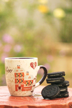 plasmatics-life:   Perfect Evenings-Coffee With Cookies  