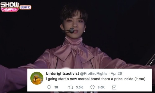 doitforbangyongguk: B.A.P | text post meme | 3/∞yoo youngjae + birdsrightsactivist edition