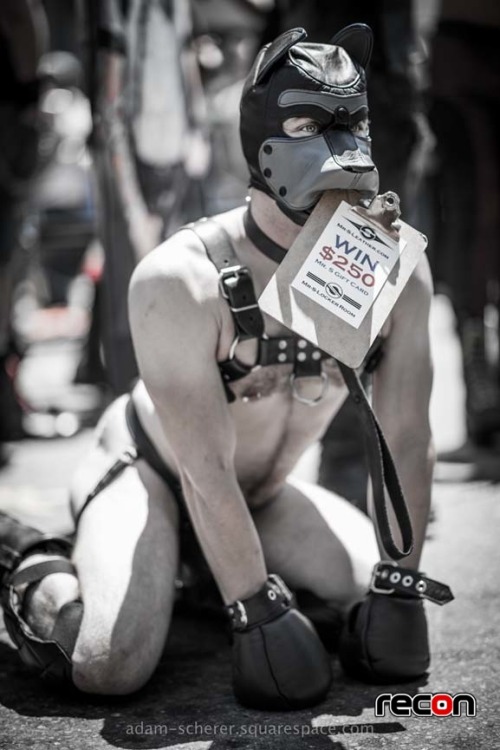 reconfetish: Here are some of the amazing photos from Folsom Street Fair’s nasty younger broth