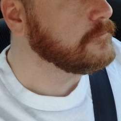 Gloryholecam:  This Guy Got My Seed. Sexy Muscly Bearded Ginger With A Tight Deep