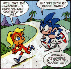 eternalstarblaze:  amieworkbench:  every day of my life i laugh about sonic maurice hedgehog  So that’s what people are talking about when they say “smh”… 