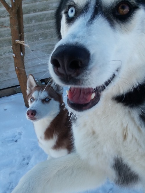 Photobomb