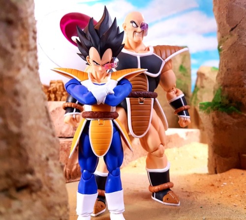 The Saiyans Are Coming 2.0 HD Remix  In this shot: SH Figuarts Dragonball Z Vegeta &amp; Nappa, 