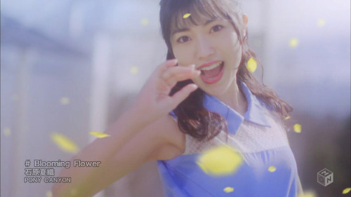 himanji:  PV 石原夏織　Blooming Flower 