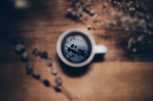 Fresh Brewed Life