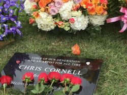 radionotfound:  RIP Chris Cornell. I hope you find peace wherever you are.