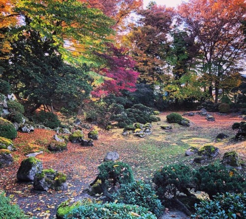 ＼おにわさん更新情報／ ‪[ 山形県天童市 ] 光禅寺庭園 Kozen-ji Temple Garden, Yamagata の写真・記事を更新しました。 ーー #出羽国 を治めた大名 #最上義光 の