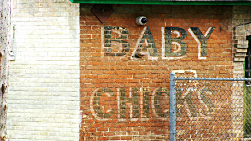 Took the camera up to Baraboo, WI today. These are all from original Ringling Brothers’ buildings at