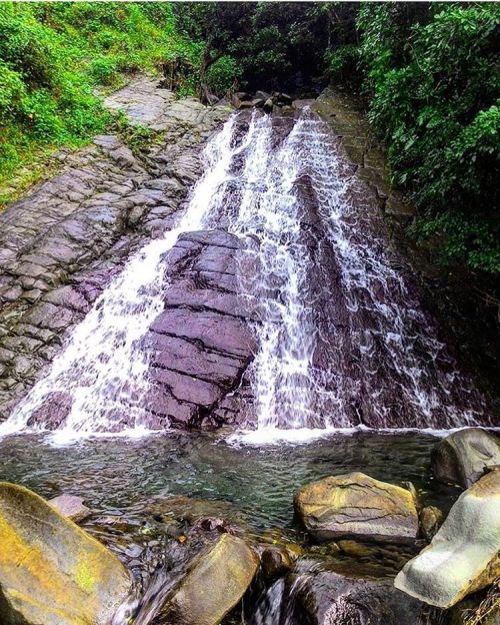 onlyinjamaica: Friday Falls in the blue mountains!  ➖➖➖➖➖➖➖➖➖➖➖➖➖➖➖➖➖➖➖➖  Source: @roughnecktours ➖➖