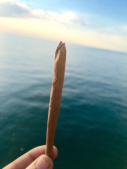 the-captainchronic:  Enjoying the view